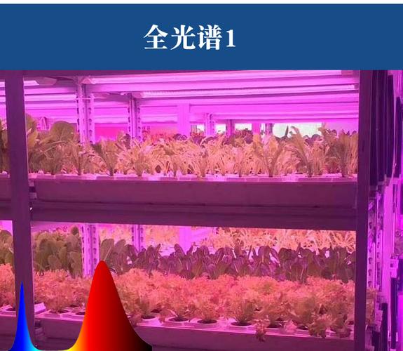 欧普电灯led红蓝白植物生长灯大棚蔬菜工厂室内水培叶菜全光谱t8补光