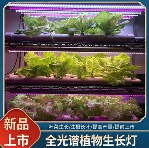 植物生长灯 led红蓝白大棚蔬菜工厂室内水培叶菜全光谱t8补光灯管