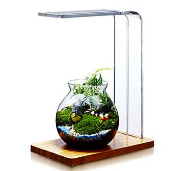 微景观小型盆栽水陆缸坨草植物缸专用多肉植物生长灯台灯 12瓦【图片